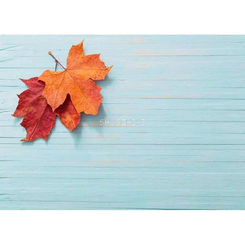 SHUOZHIKE тонкие тканевые фоны для фотосъемки реквизит цветок деревянные доски фон для фотостудии 201104 MB -03