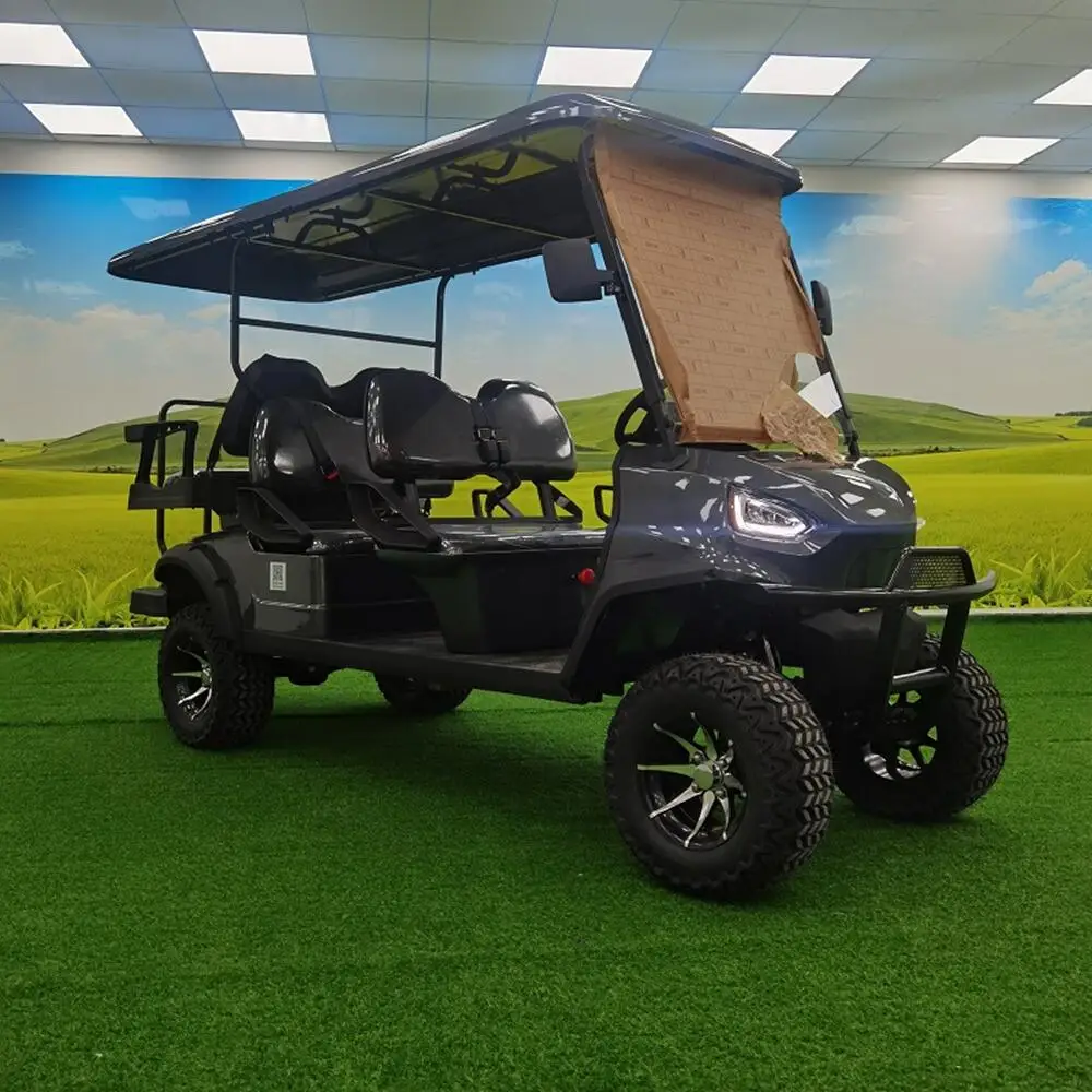 عربة جولف مدمجة كهربائية جديدة تمامًا للشارع القانوني بمقعدين عربات دفع كهربائية للبيع من المصنعين عربة جولف كهربائية #6