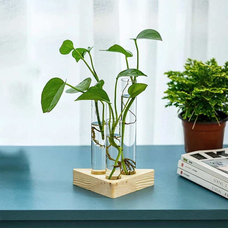 Plant Terrarium with Wooden Stand Desktop Live Plant Propagation Station Planter Glass Tubes Hydroponic Vase Air Planter Holder