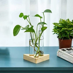 Plant Terrarium with Wooden Stand Desktop Live Plant Propagation Station Planter Glass Tubes Hydroponic Vase Air Planter Holder
