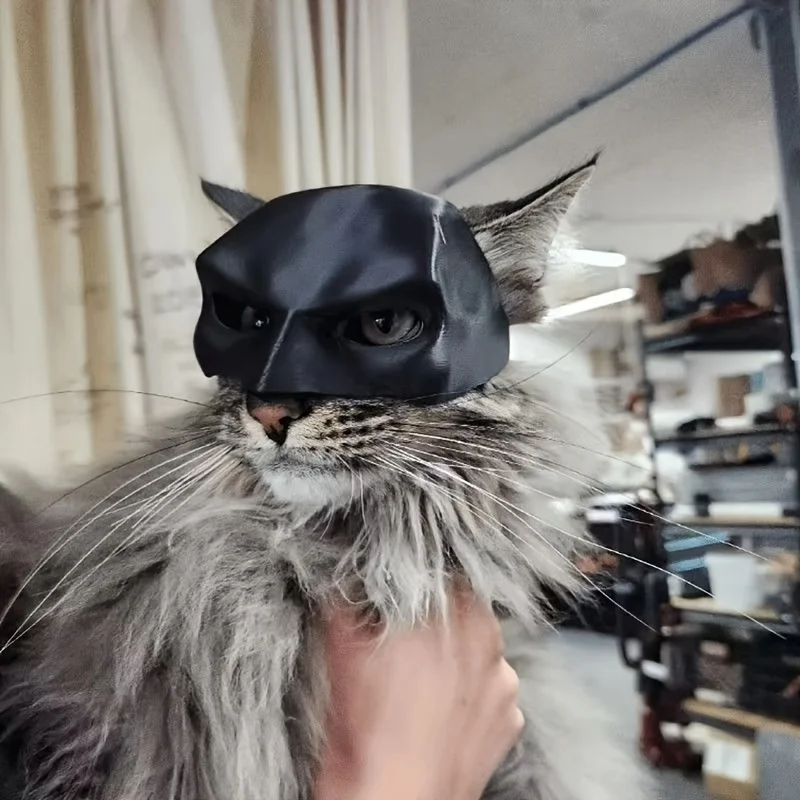Image 6: Masque de chat