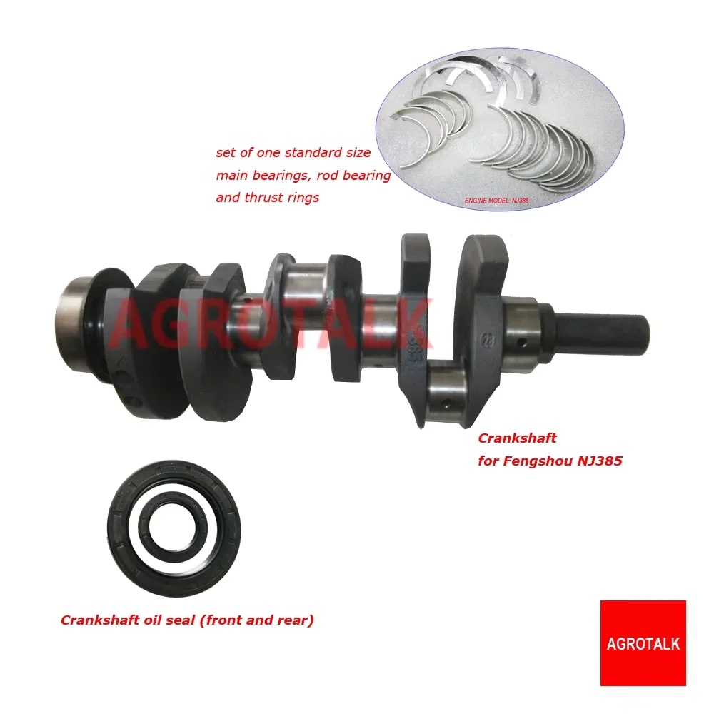 1005011DAA / crankshaft with oil seals, standard size bearings for Fengshou Lenar 254