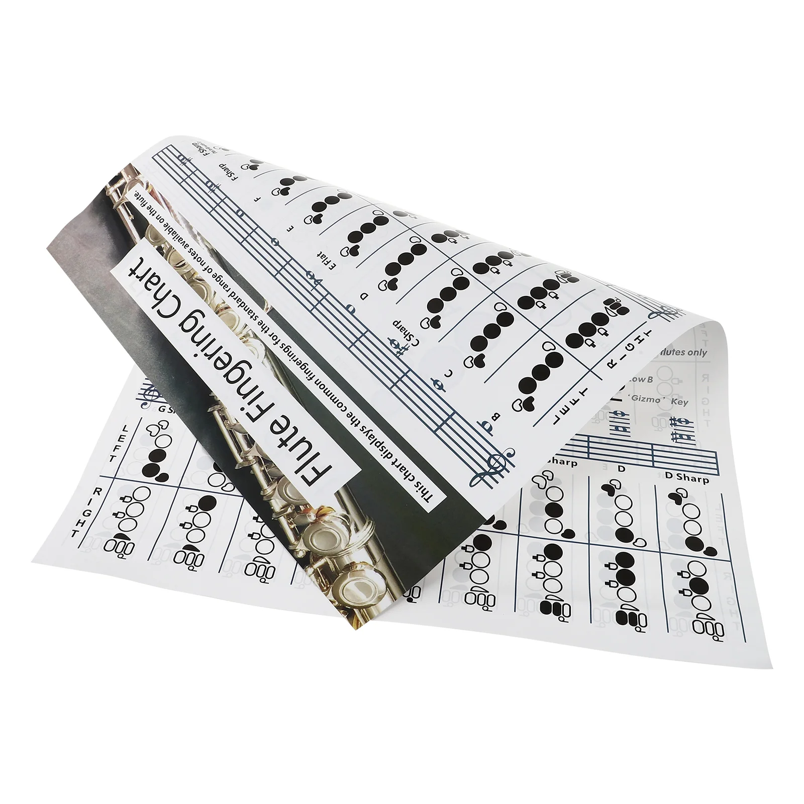 

Flute Fingering Diagram Chord Chart Keys Poster for Practice Desk Lamp Beginners Note