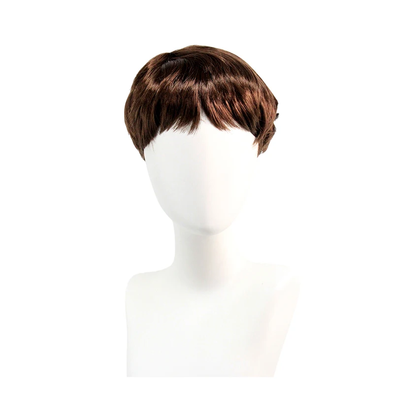 Short Brown Men's Synthetic Wig, Natural Straight Style with Bangs for Daily Wear, Cosplay and Themed Parties