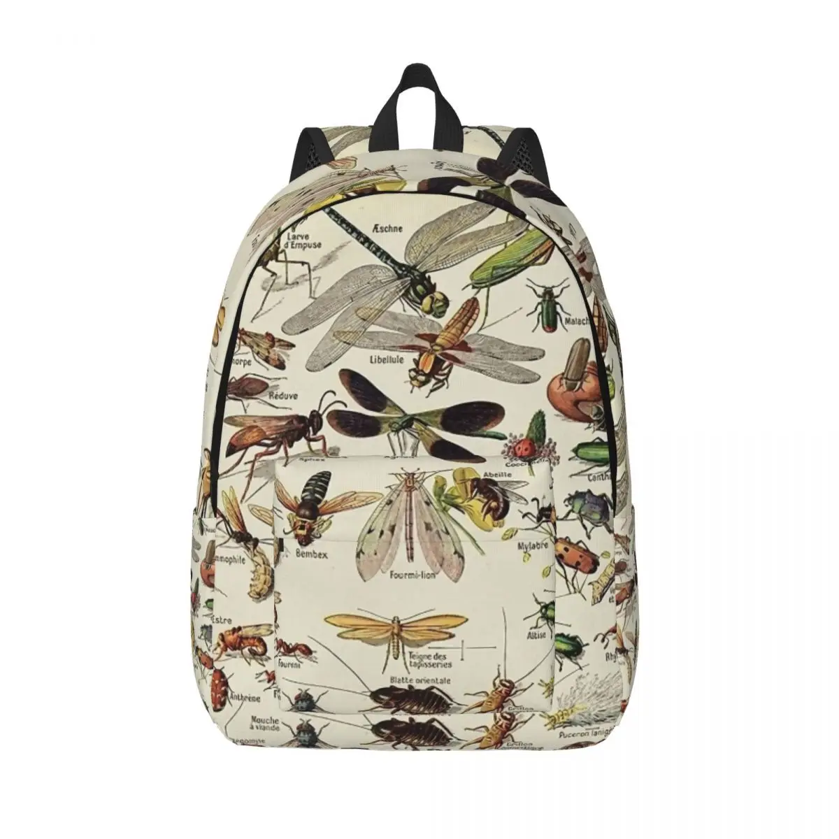 Insects Chart Scientific Fashion Backpack High School Work Vintage Entomology Daypack for Men Women Laptop Shoulder Bag