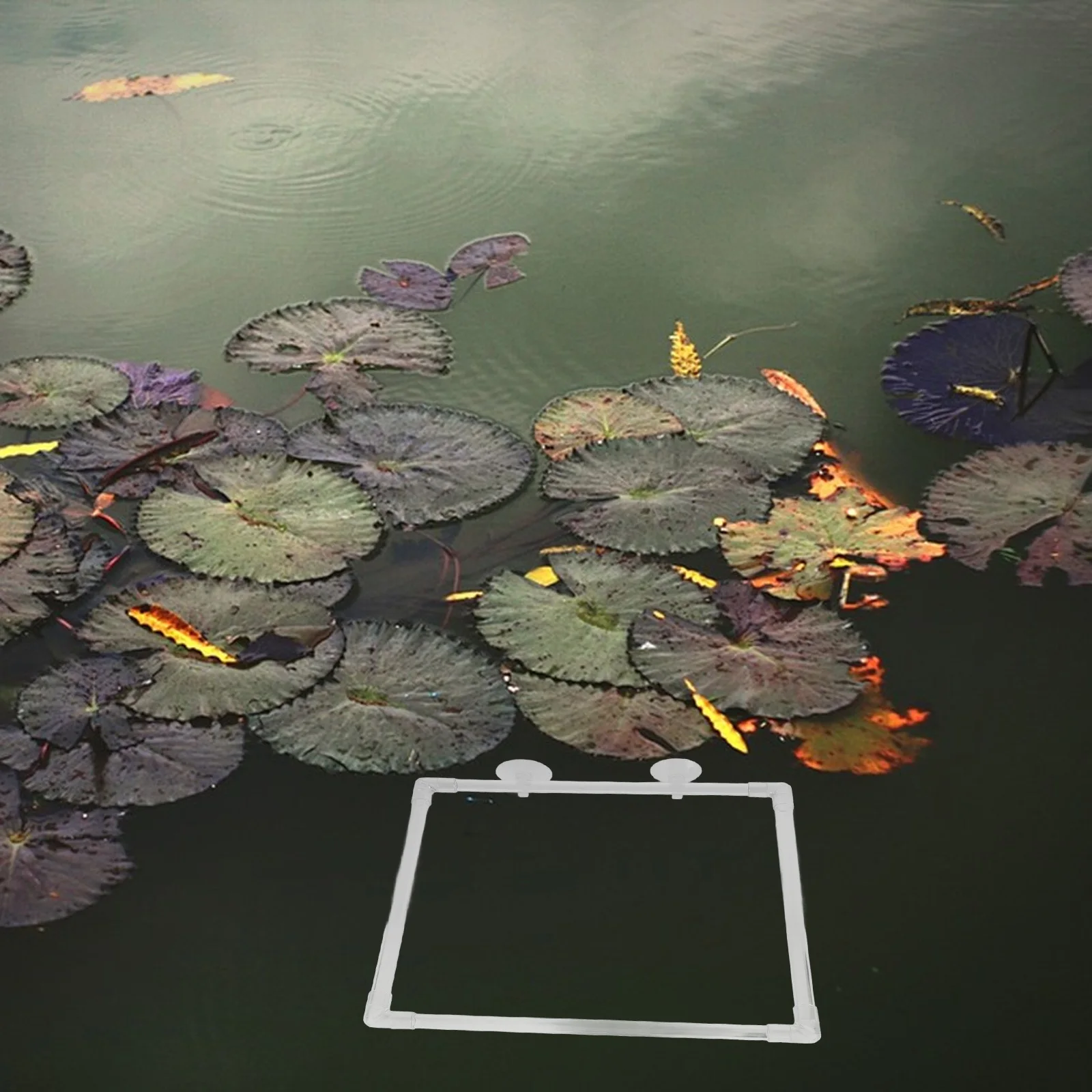 

Fish Feeding Ring Acrylic Square Frame Suction Cup Aquarium Floating Plant Barrier Fish Tank Feeding Tool Waste-Reducing Feeder