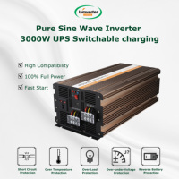 Hot sale 12V/24V/48V 3000W UPS Inverter Pure Sine Wave Inverter with Charger