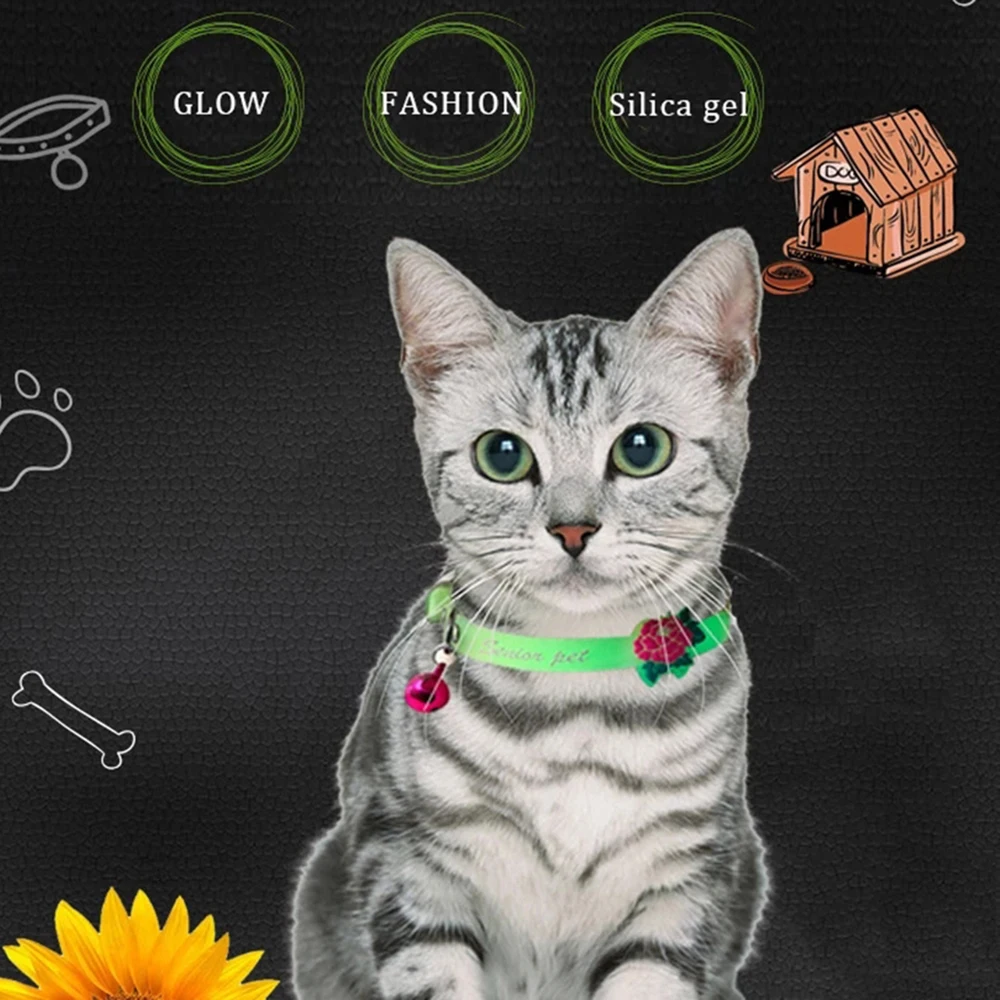 Thumbnail 4 - #30 Top 50 Dog Collars Worth Buying In 2026