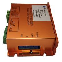 Electric Brush DC Motor Driver 24v 48v 100 Watt 200 Watt Motor Controller