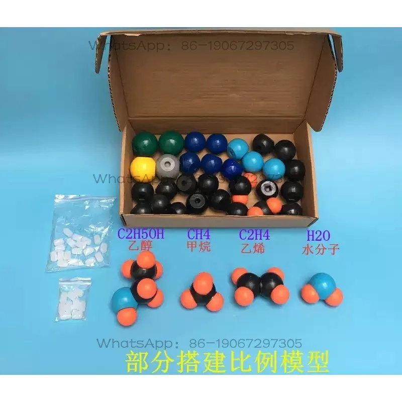 Large Organic Molecular Structure Model 3113 Proportional, Ball Type, Teaching Aids, Chemistry Teaching Equipment