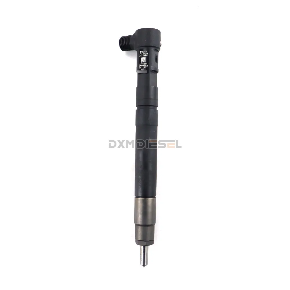 OEM common rail injector for system EMBR00301D