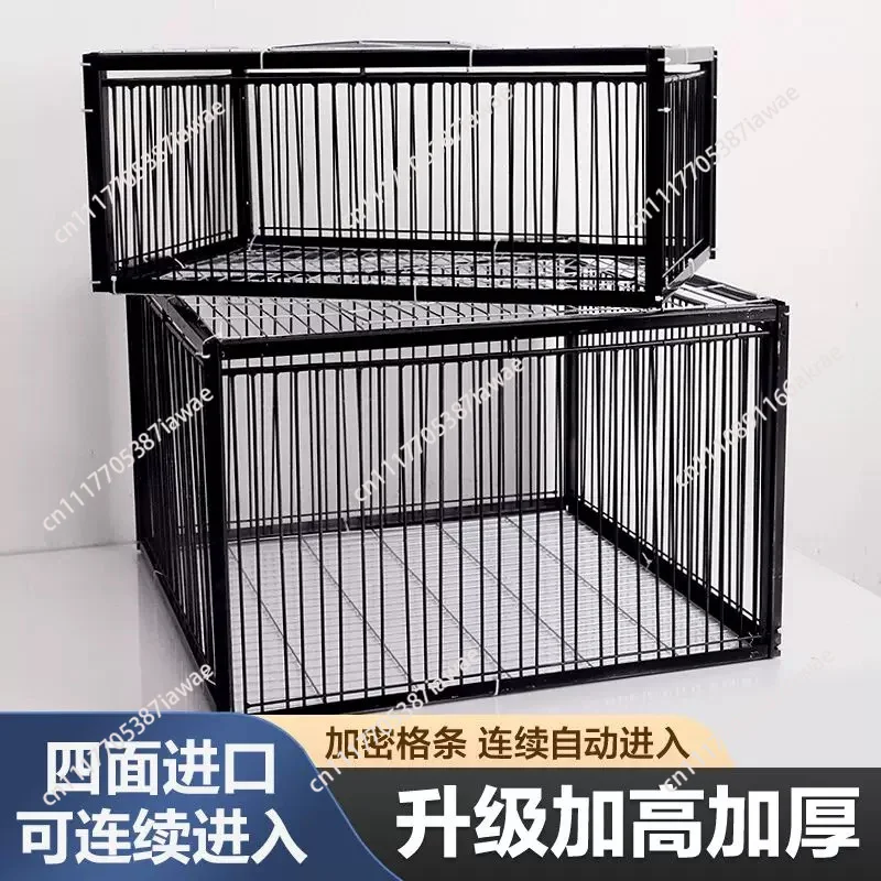 Professional Multifunctional Bird Pigeon Trap Cage, Animal Capture Cage for Garden, Farm and Urban Pest Bird Management
