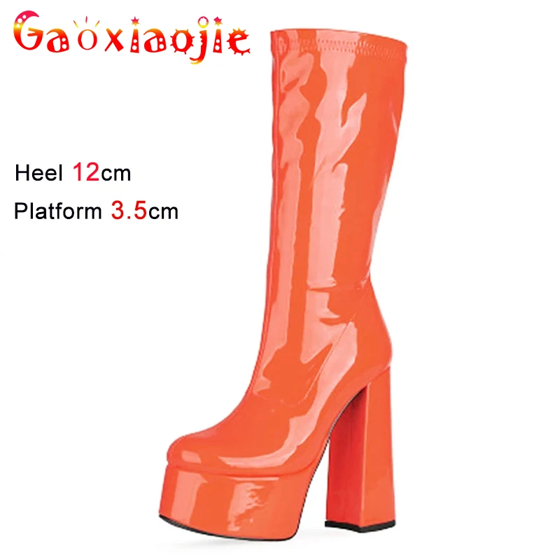 

Fashion Mid-Calf Boots Woman Block Heel Round Toe Nightclub Shoes Autumn And Winter Platform Super High Heels Gothic Women Boots