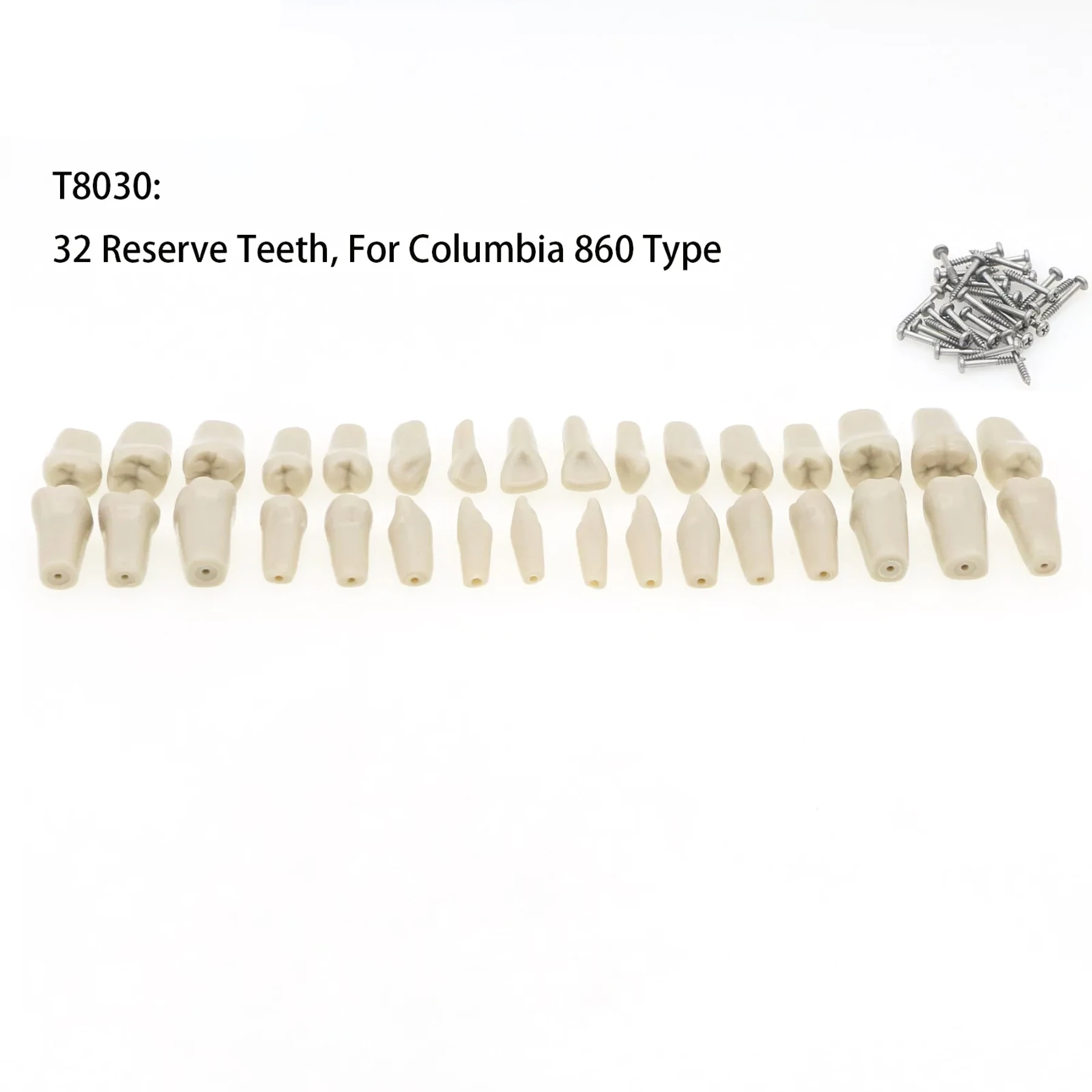 

Dental 32pcs Replacement Teeth fits Compatible Columbia Dentoform 860 Type Teeth Model