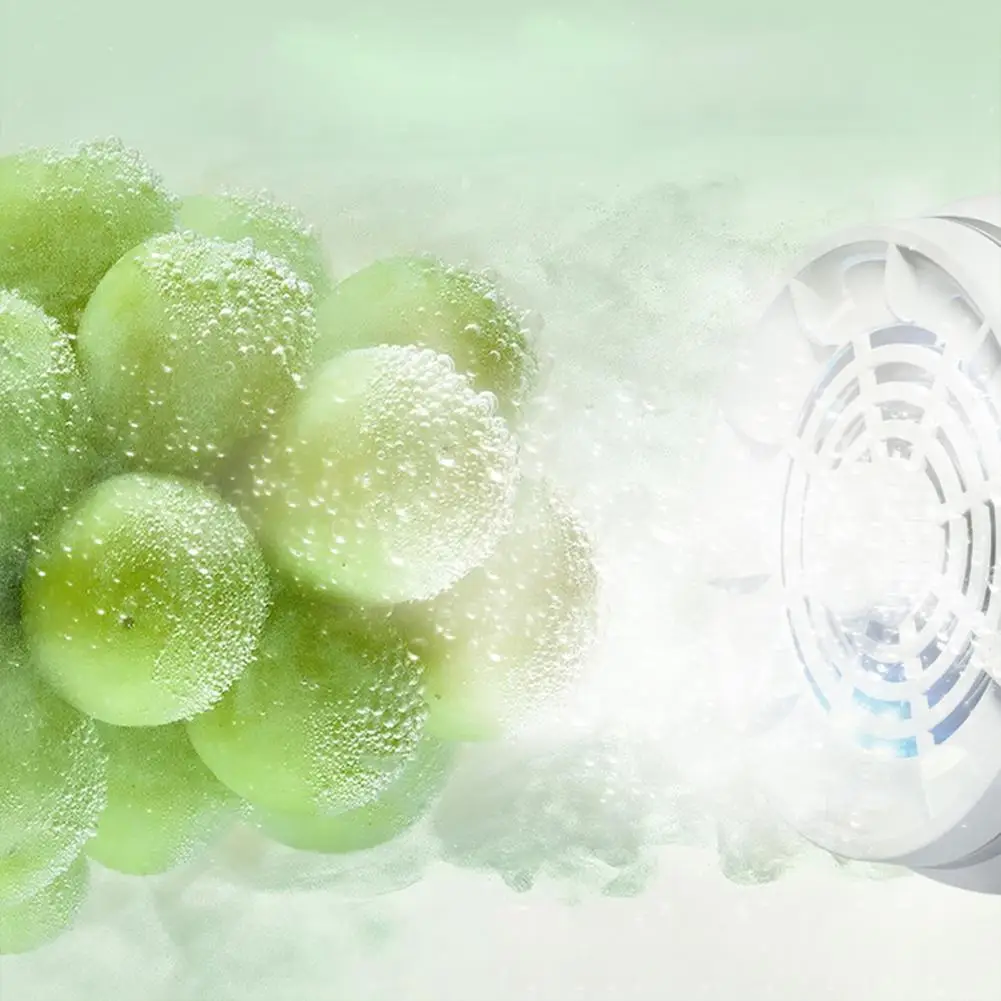 Outdoor Vegetable Cleaner Wireless Vegetable Washing Machine Electrolysis Fruit Cleaner Waterproof Food Purifier for Meat