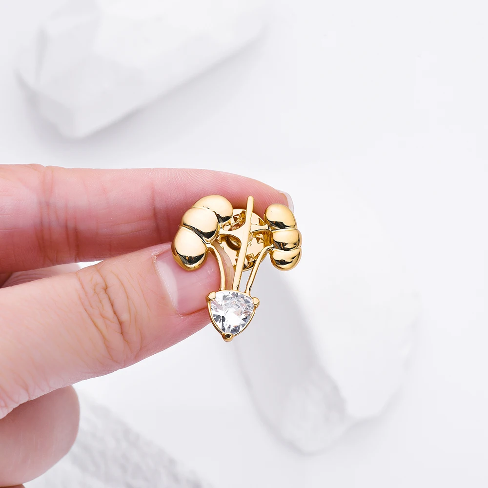 Hanreshe مطعمة الكريستال الفاخرة الكلى بروش التشريح الطبية الكلاسيكية التلبيب شارة دبابيس مجوهرات ل المسالك البولية طبيب ممرضة