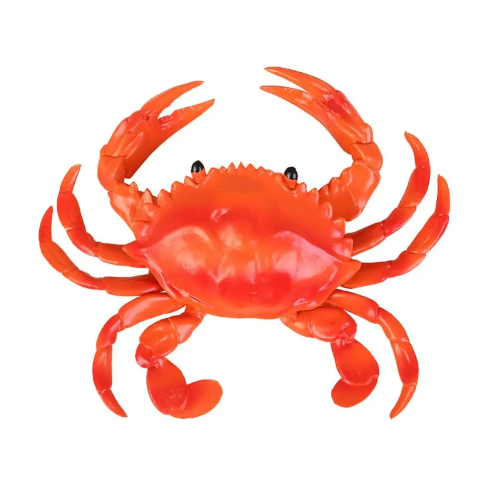 Lobster Fancy Toys New Educational Crab Stress Reliever Toys Pinch Kids Marine Animal Model Cognitive Gifts