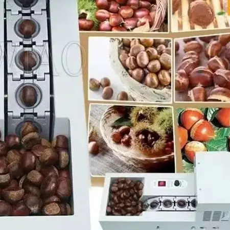 Automatic Chestnut …