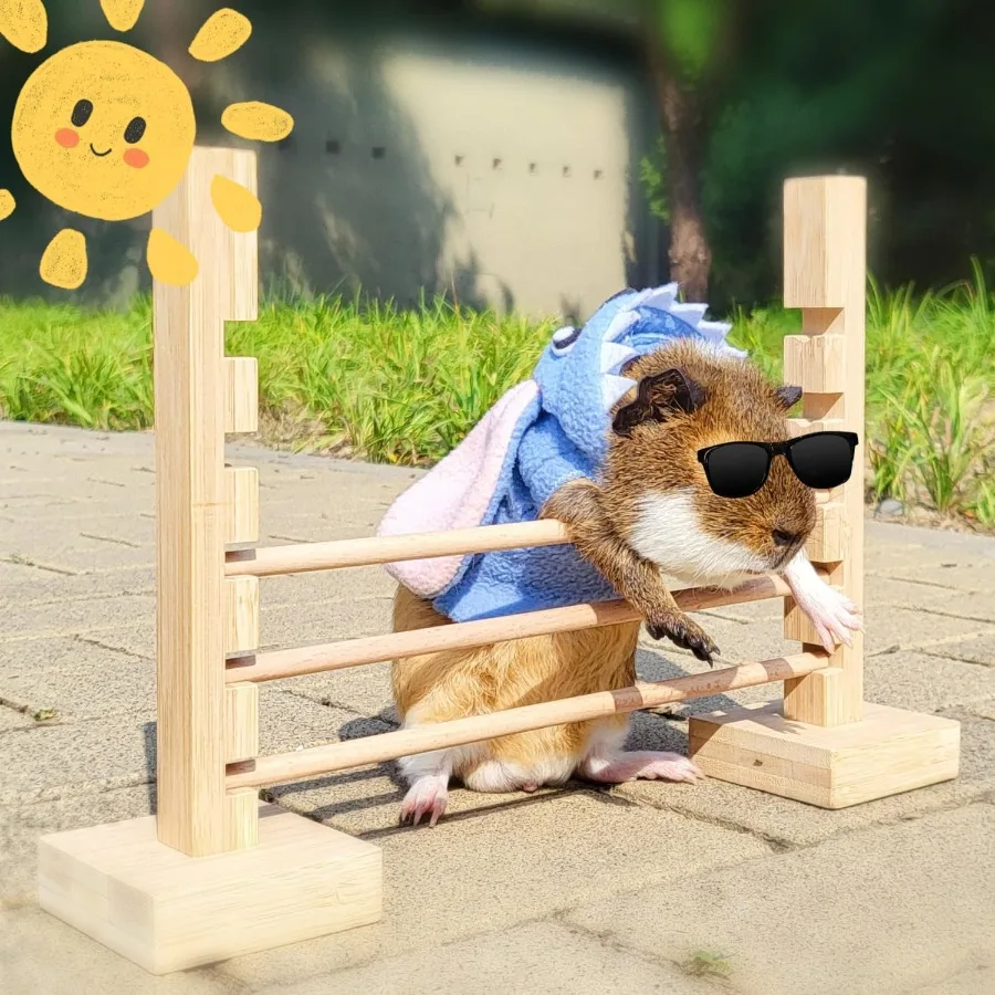 غينيا خنزير القفز بار تورال الخشب عقبة لعبة النشاط مجموعة ألعاب قابل للتعديل ارتفاع التدريب عقبات ممارسة ألعاب حيوانات صغيرة fo