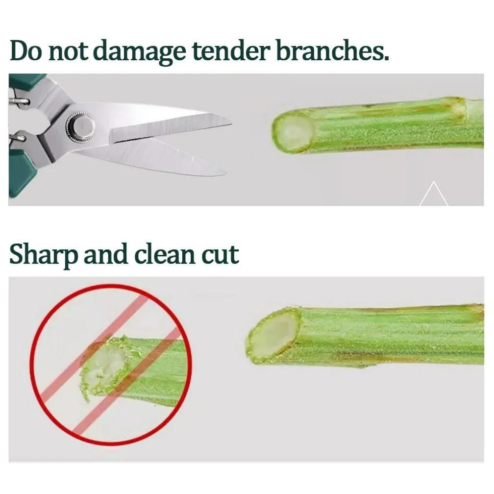 กรรไกรตัดแต่งกิ่งสวนขนาด 190 มม. สำหรับบอนไซ, หัวตรง, ใบมีดสแตนเลส, ด้ามจับกันลื่น, เครื่องมือตัดแต่งที่สะดวกสำหรับใช้ในบ้าน