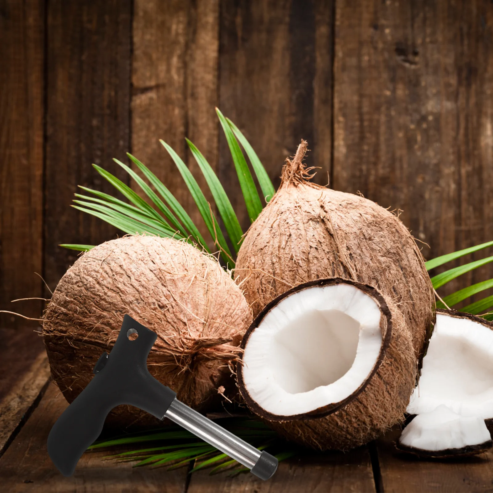 

Coconut Opener Tool Stainless Steel Safe Fast Easy Coconut Water Extractor Comfortable Grip Dishwasher Safe