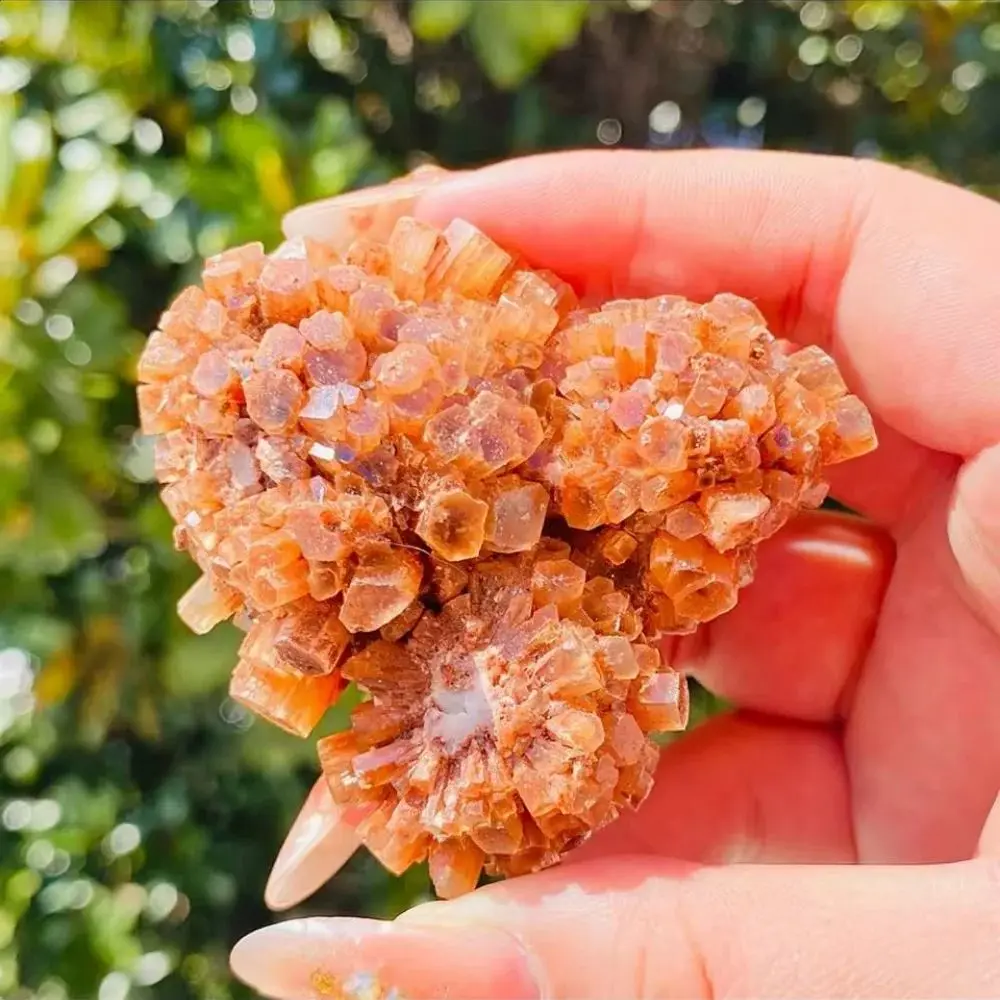 Natural Moroccan Flower Cluster Aragonite Rare Gem Irregular Healing Crystal Mineral Specimen Gifts From Family And Friends