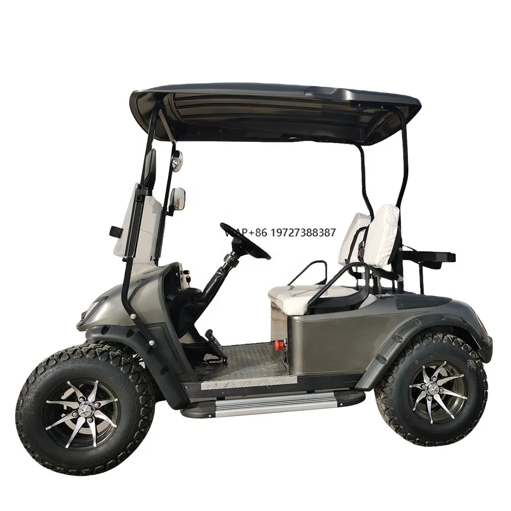 أفضل بيع 48V عالية الجودة الصلب عربة الغولف الكهربائية 2-مقعد نادي السيارات الكهربائية الترقيات المختلفة #1