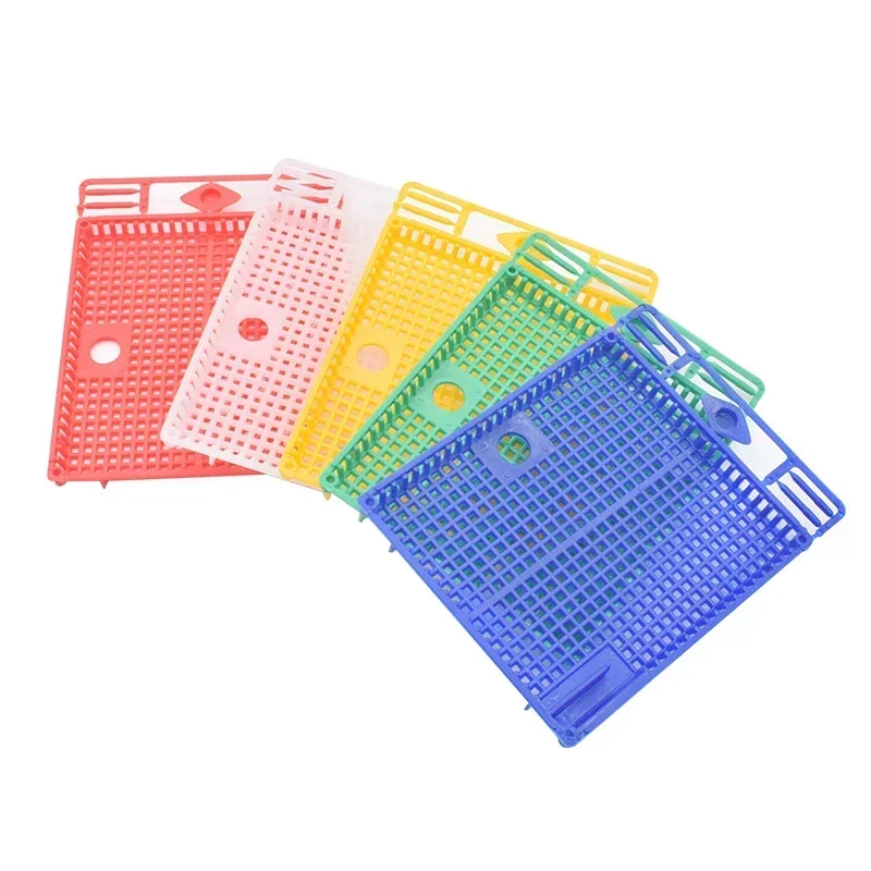 1PCS Nicot Queen Introduction Cage Queen Rearing Kit Plastic Round Flat Queen Introducing Cage for Beekeeper Beekeeping Tools