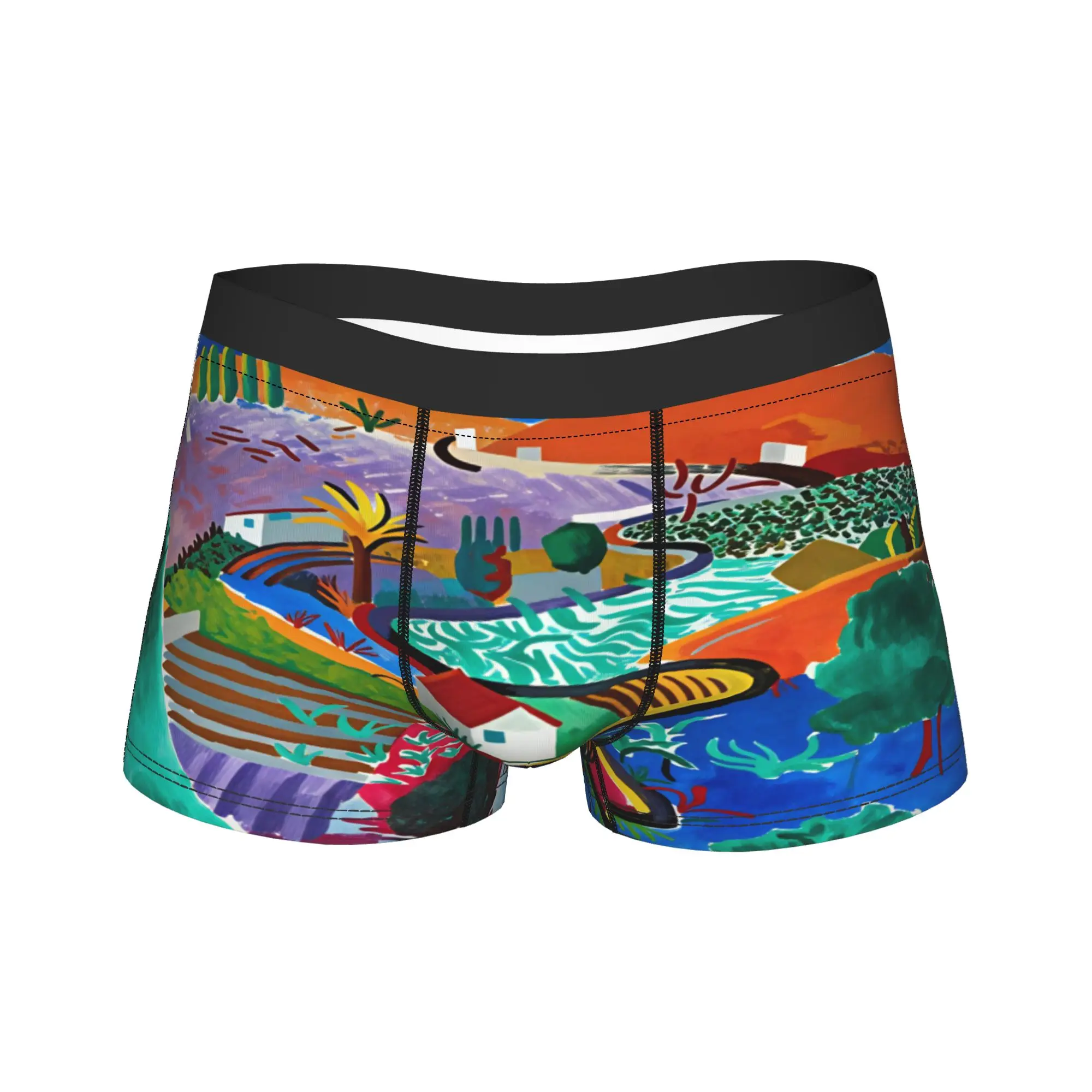David Hockney Vintage VL14 Poster Shorts Briefs  Underwear Trenky Men's Comfortable Boxershorts Custom Plus Size Underpants