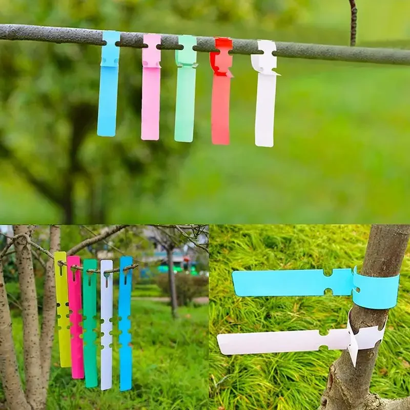 Plant Markers for Nursery Flowers, Hanging Tags, Label Tools, Garden Supply, 20x2cm, 3 Pcs, 10 20Pcs
