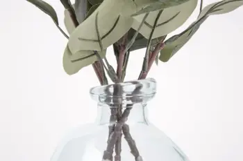 12 best sales זכוכית חממה - №2