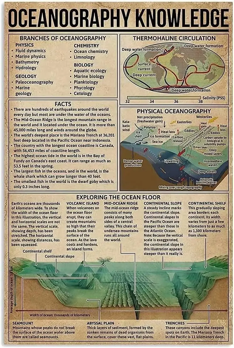 Youpinnong Oceanography Knowledge – Panneaux métalliques décoratifs pour la maison, affiche vintage sur l'océanographie, pour chambre, cuisine, bureau, club