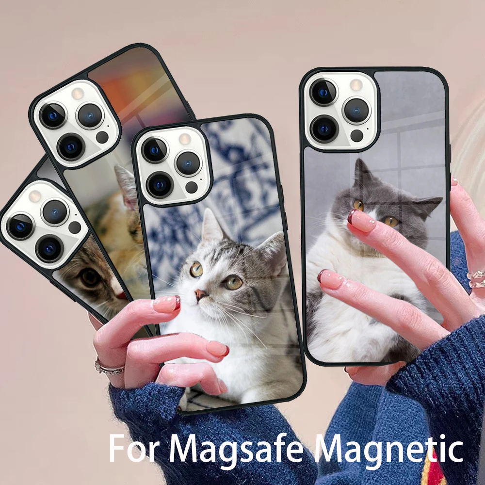 

Cute Cat Animal Phone Case Magesafe Magnetic Wireless Charge Cover For IPhone 16 11 12 13 14 15 Pro Max Plus Mini
