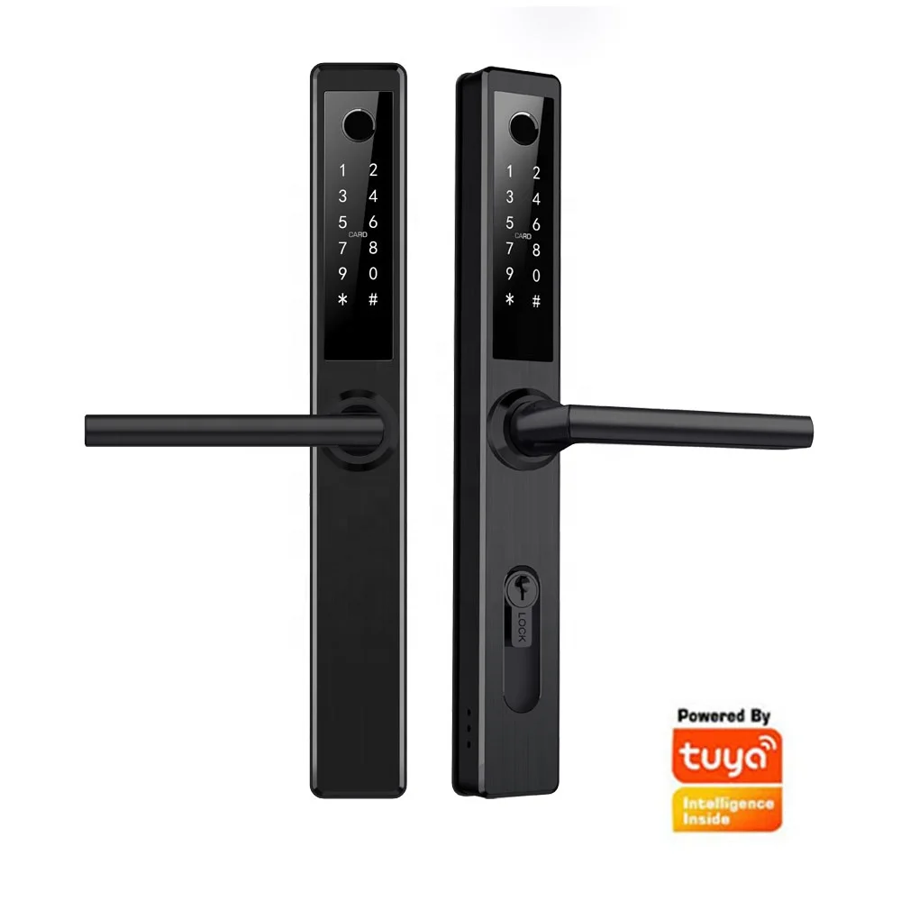 

Умное применение BLE WiFi дверной замок с отпечатком пальца, карта с паролем, механический ключ, цилиндр дверного замка