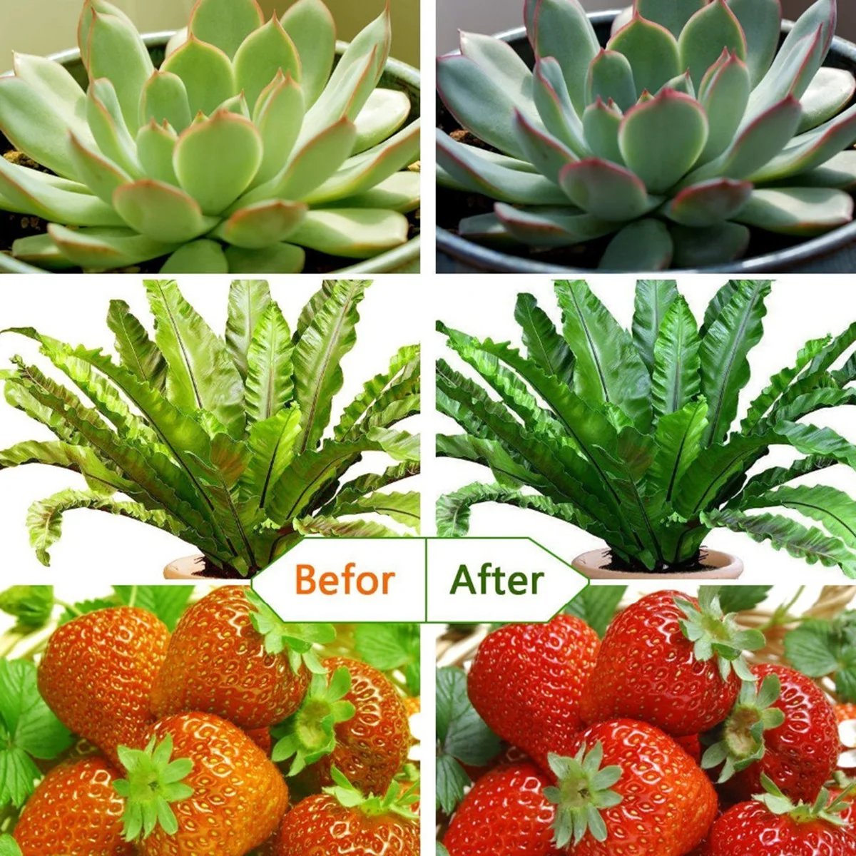 

9 Вт 5 В светодиодный светильник с одной головкой для выращивания растений, лампа для выращивания растений, время, 5 уровней регулировки яркости, регулируемая гусиная шея, красный, синий, для дома, гидропоника