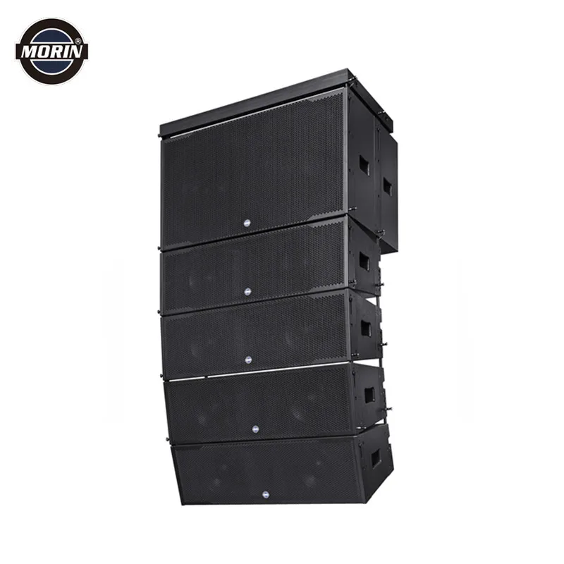 Altavoz de Línea Activa Doble de 10 Pulgadas en Venta