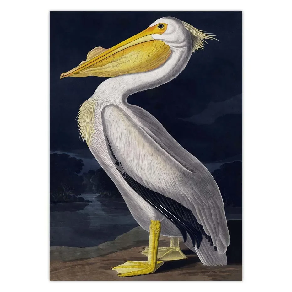 خمر الطيور قماش طباعة Audubon الطيور الملصقات الوردي فلامنغو ثلجي البومة بيليكان الأزرق هيرون الأبيض Egret حائط لوح رسم الفن