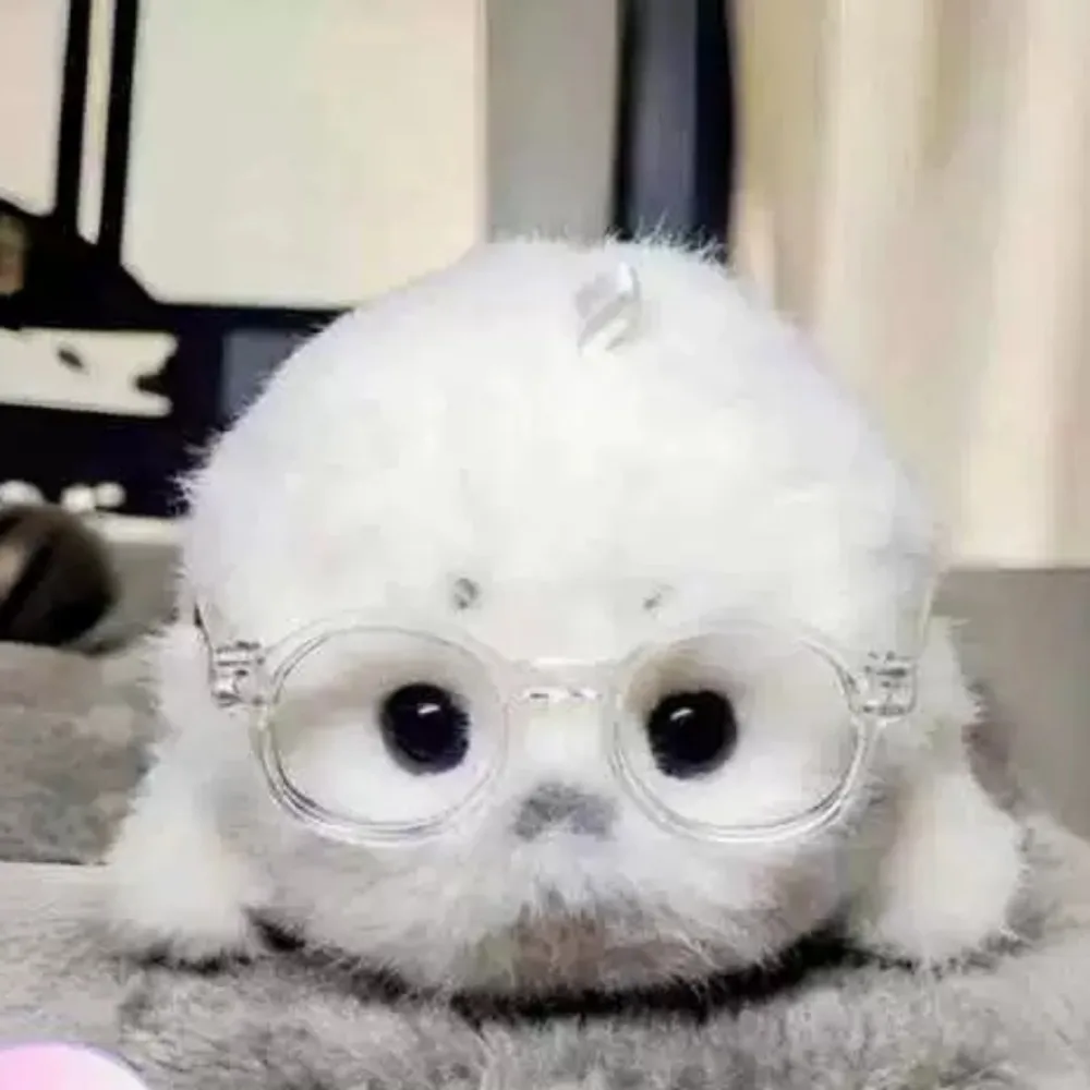 Keyring Accessories Ocean Animal Seal Plush Palm Sized Bag Pendant Seal Stuffed Doll Soft Fluffy Mini Seal Keychain Bag Charm