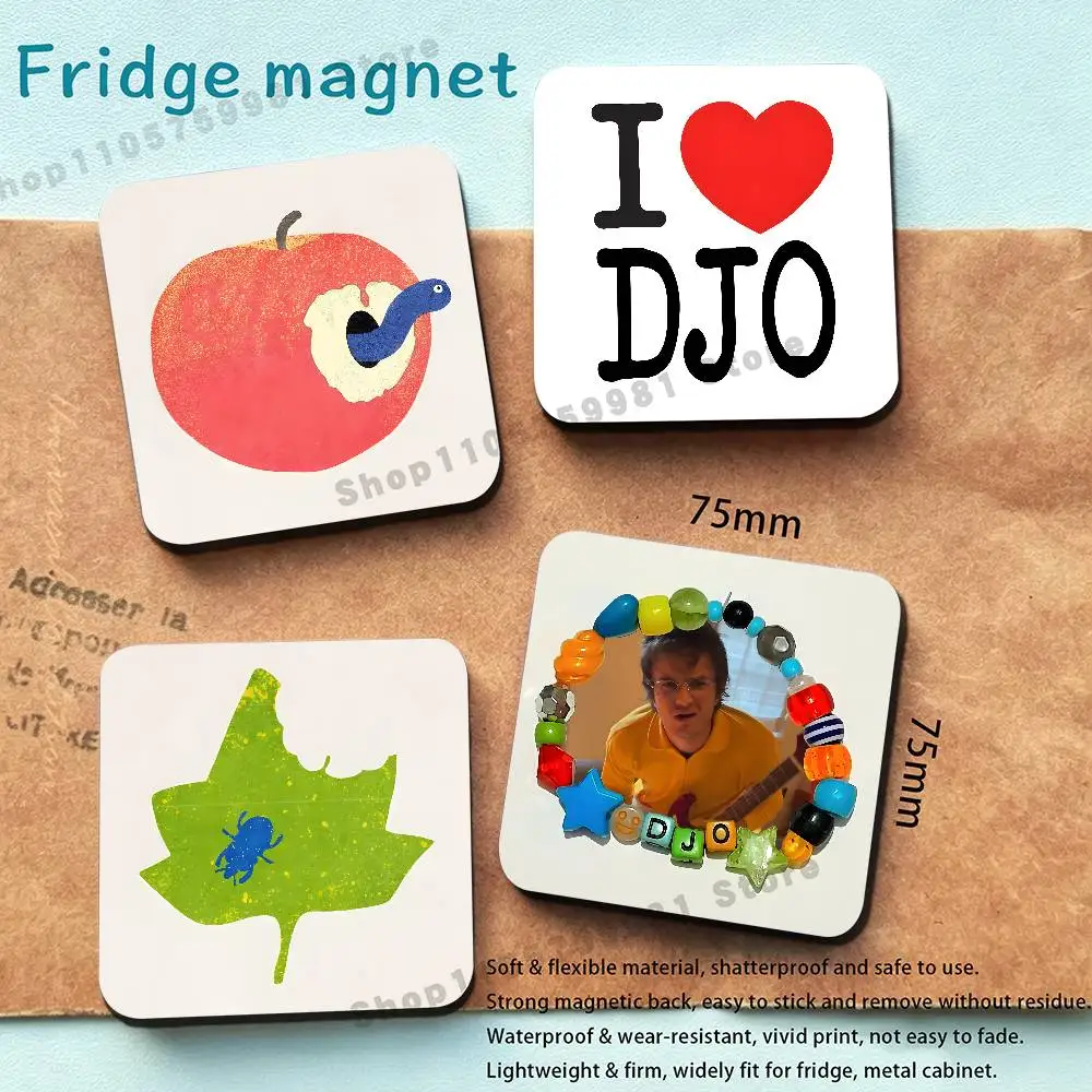 D-Djo Singer Refrigerator Magnets the Perfect Choice for Home Create Warm Cozy Home Decor Gifts