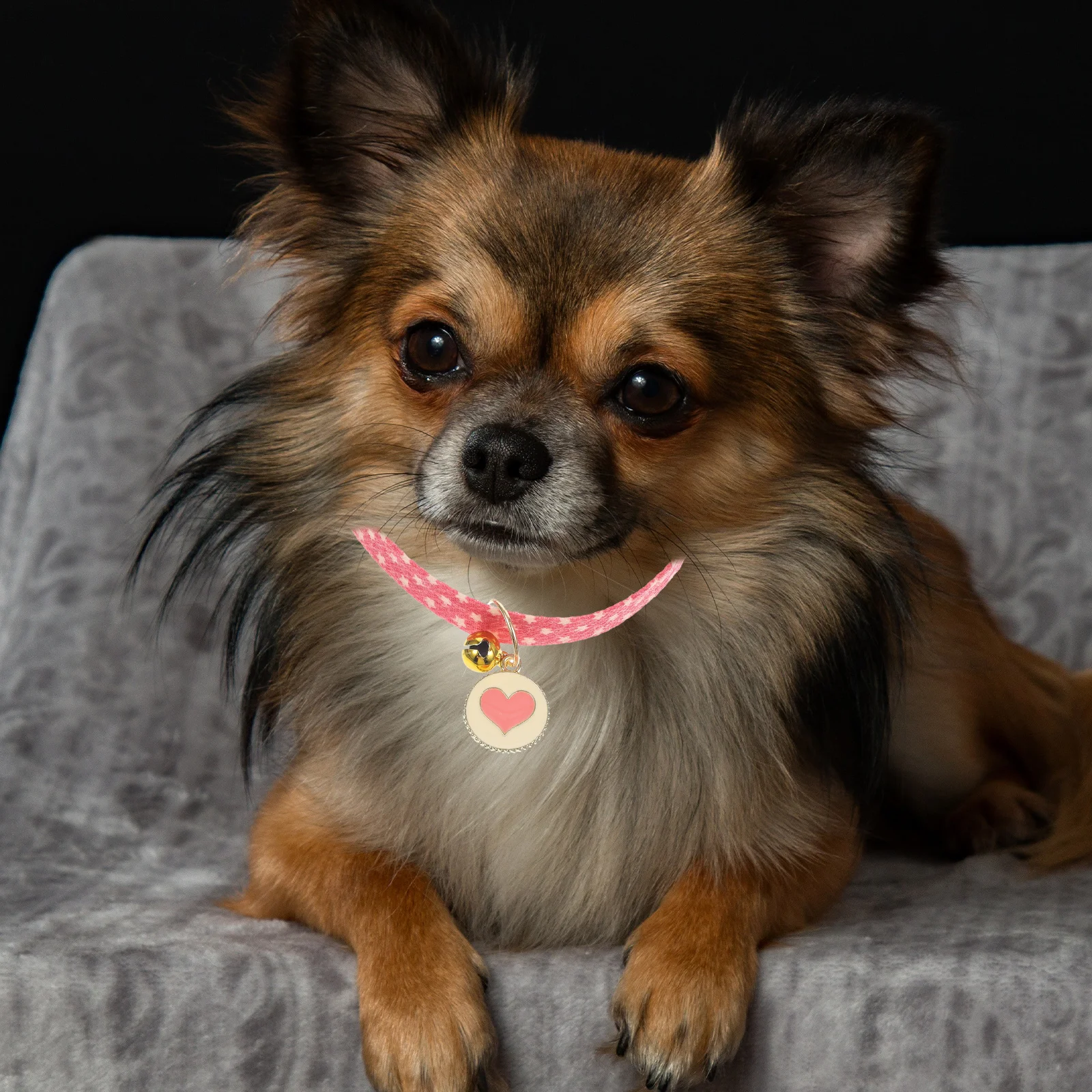 

Bells Pet Collar Puppy Accessory Small Dog Portable Polyester Kitten Adjustable