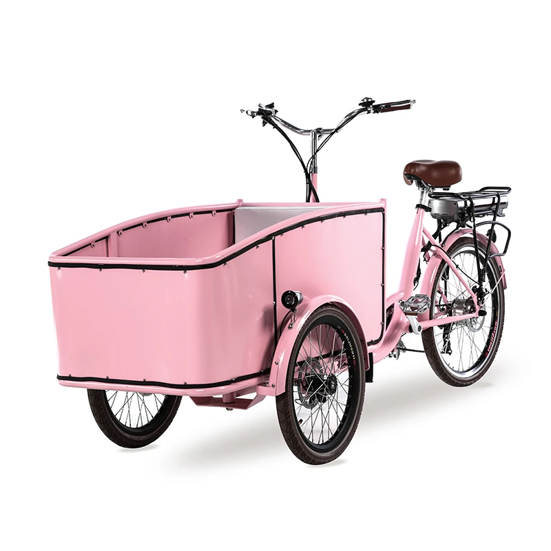 

Large Front Aluminum Box Three Wheels Heavy Duty Durable Electric Trike Family Cargo Bike