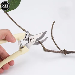 Tijeras de podar profesionales para huerto, herramientas manuales para bonsái, jardinería, Chopper
