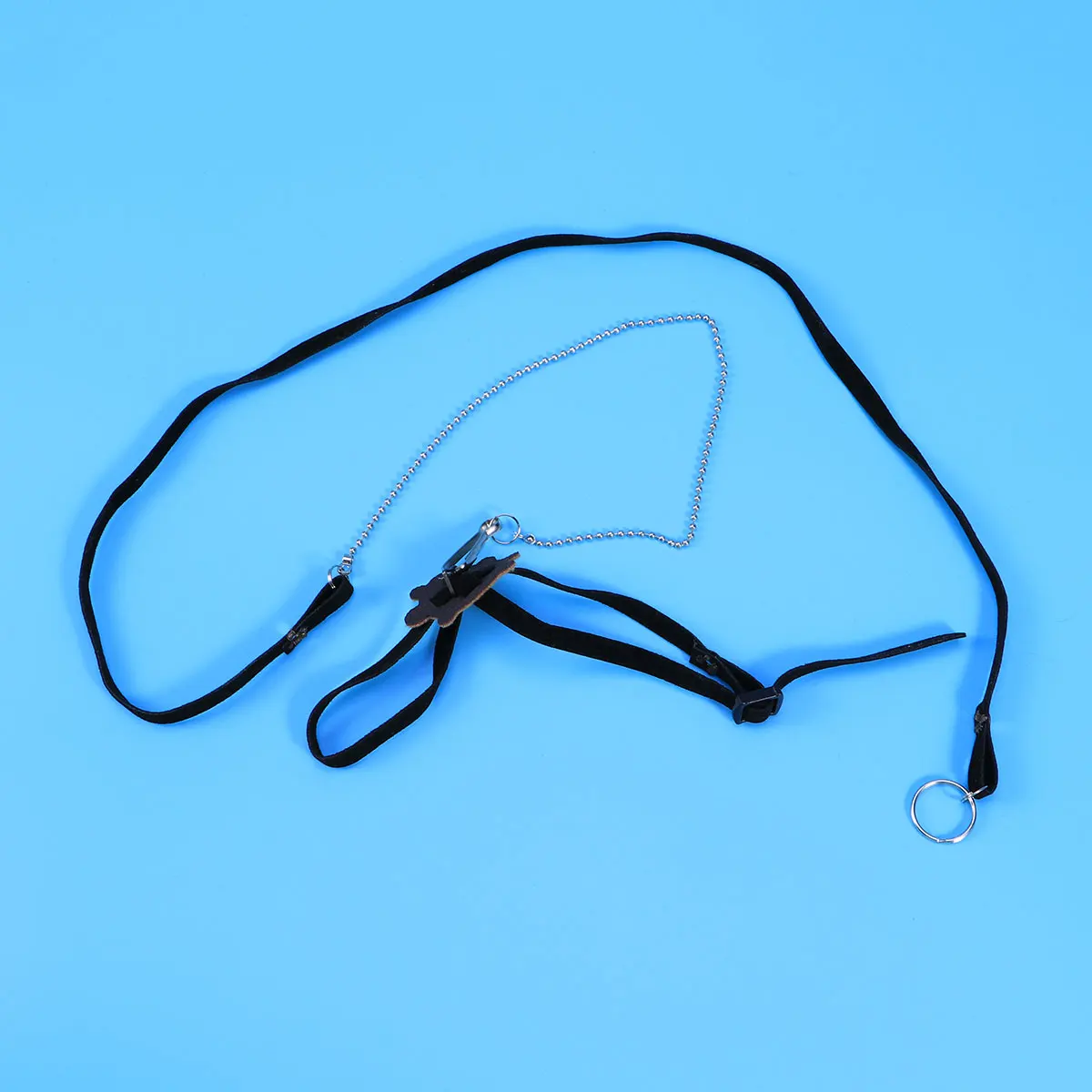 

Reptile Leash Pet Harness Pet Training Leash Reptile Training Leash Pet Supplies