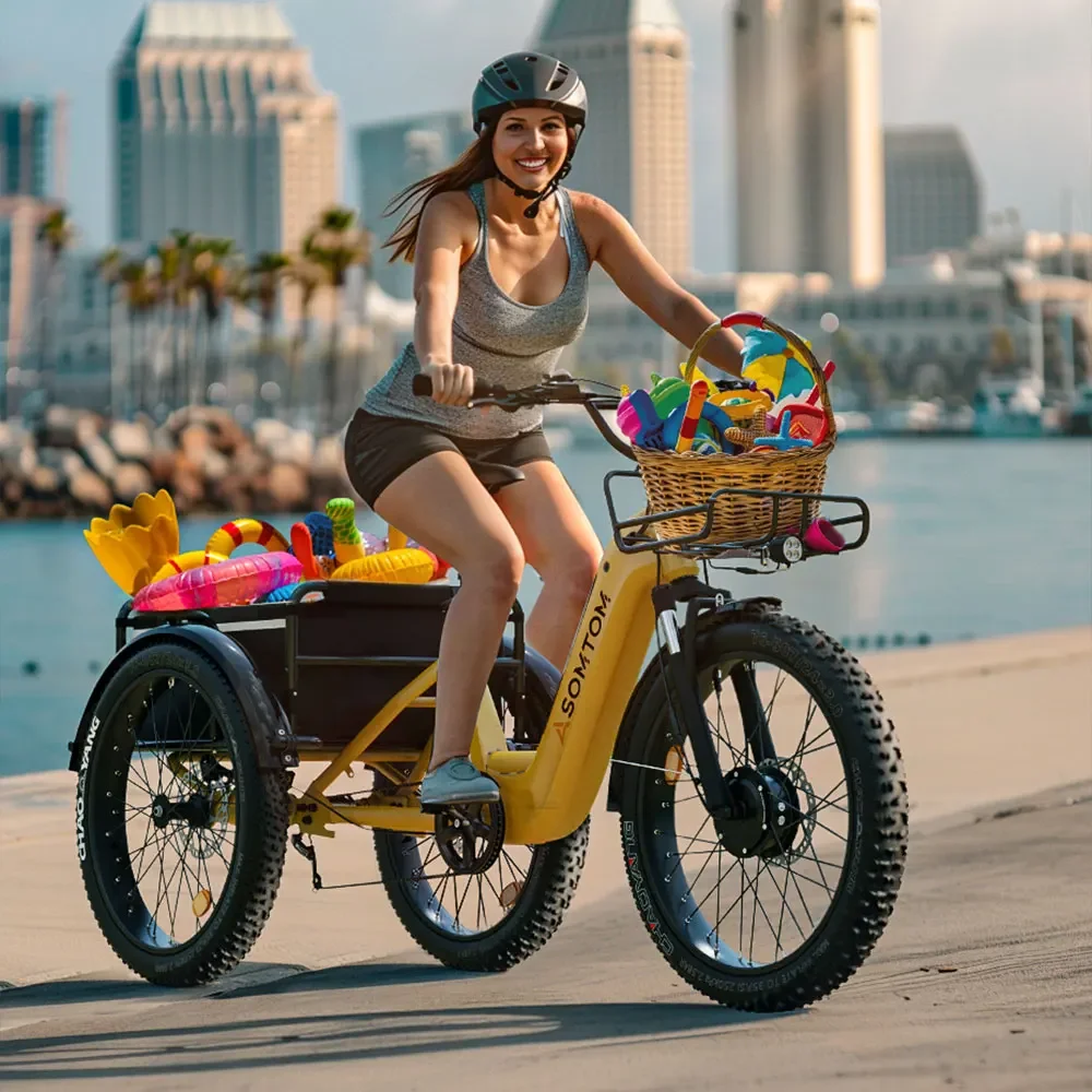 China Supply WHALE-24 3.0 Freight Electric Tricycle 3 Wheel Bike 48V 500W Mid Drive 15ah Battery 3-wheeler Cargo Ebike