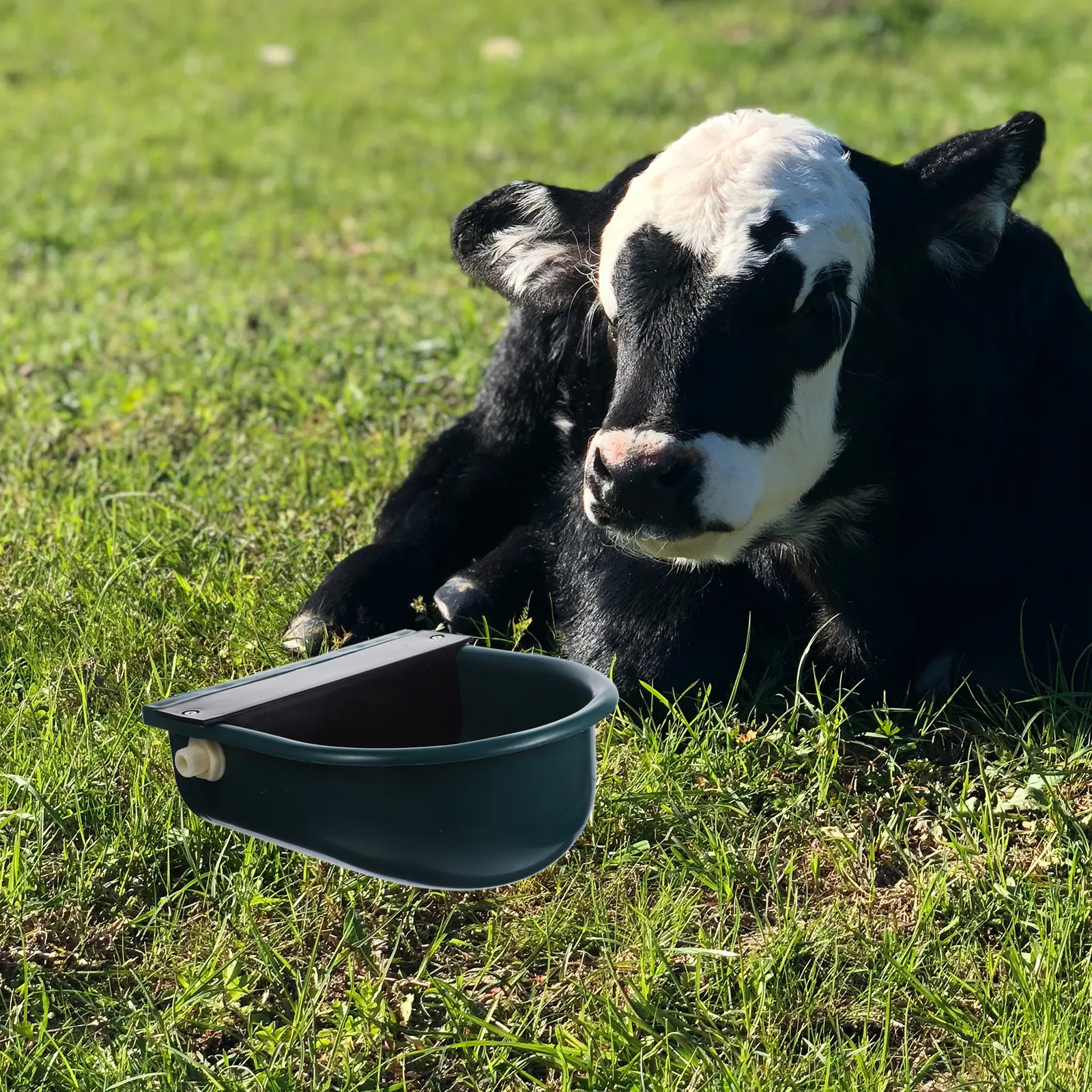 

Automatic Cow Drinking Water Bowl Plastic Durable Livestock Feeder Farm Drinking Fountain Cattle Horse Goat Sheep Waterer