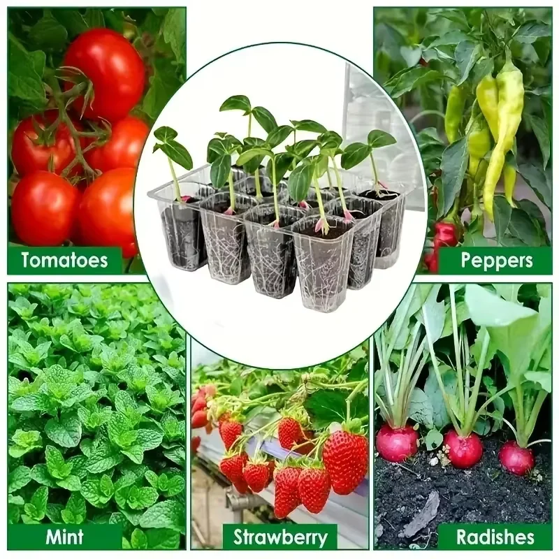 

6/12 Hole Horticulture Seedling Box Set Breathable Grow-tray System New Insulation Planting & TransplantingKIT with Lighting