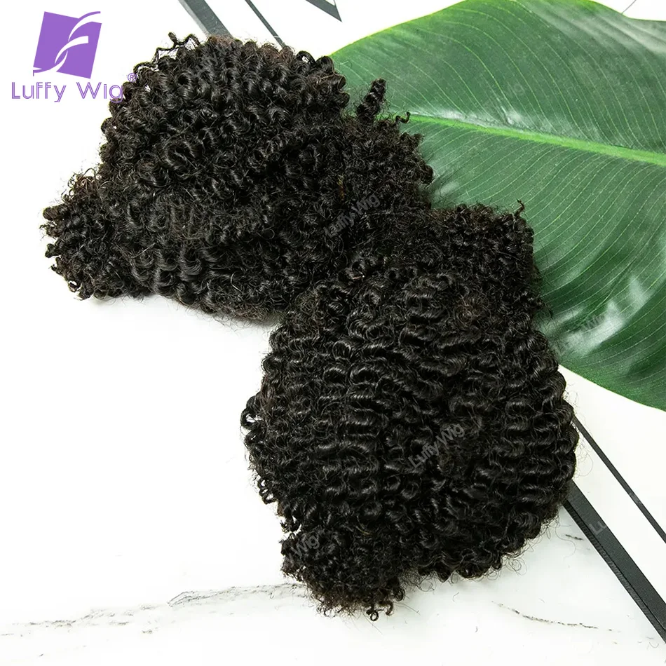 

Afro Kinky Curly Locks Extension Hair Microlocs Human Hair Bulk For Braiding Double Drawn Crochet Box Braids Extensions 3C Luffy