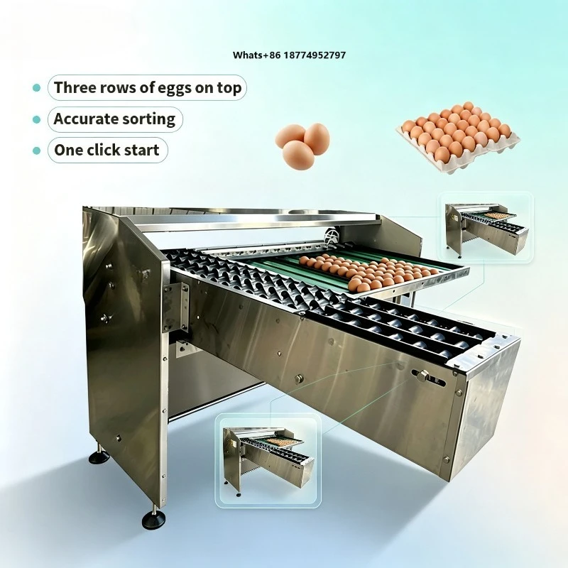 Touch Screen Controlled Automatic Egg Sorting Equipment Robot Arm Egg Loading System for Large Scale Farm