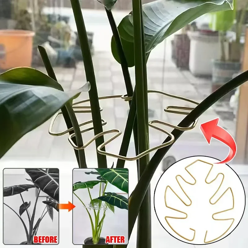 1/5Pcs Large hanging plant stand, iron hooks,Flower Stem Collection Fixing Rack Climbing Support Frame Garden Tools Branches