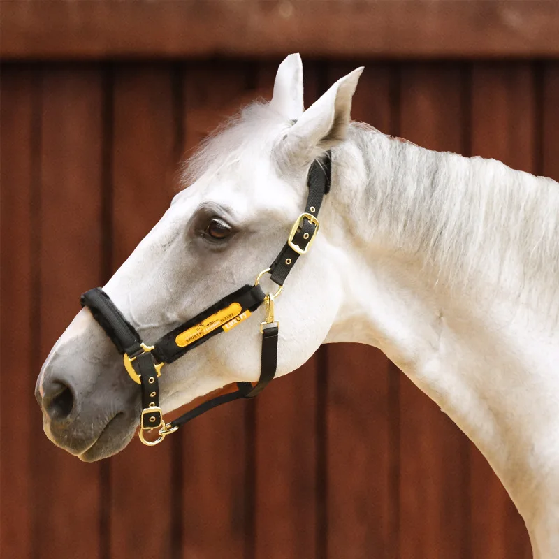 Рисунок 4 - Оборудование для верховой езды